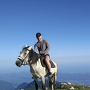  ,   , 40 ,   ,   