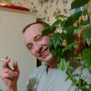   ,   , 60 ,   