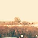 ���������� ��������, ���� ������� �������, 34 ����, ������������ ��� ������, ����� � ���������, c�������� ���������, ���������