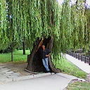 ���������� �����������, ���� ������� �����, 56 ���, ������������ ��� ������, ����� � ���������, c�������� ���������