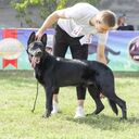 ���������� �����, ���� ������� �������, 28 ���, ������������ ��� ������, ����� � ���������, c�������� ���������, ���������