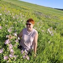 ���������� �������, ���� ������� ������, 54 ����, ������������ ��� c�������� ���������