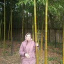 ���������� �����, ���� ������� ��������, 34 ����, ������������ ��� ����� � ���������, c�������� ���������