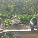 ���������� ����-���������, ���� ������� ������� L, 42 ����, ������������ ��� ������, ����� � ���������, c�������� ���������, ���������