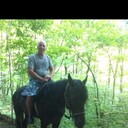 ���������� ����, ���� ������� �������, 50 ���, ������������ ��� ������, ����� � ���������, c�������� ���������, ���������