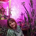 ���������� ������, ���� ������� �������, 42 ����, ������������ ��� ������, ����� � ���������, c�������� ���������