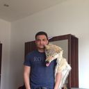  ,   , 38 ,   