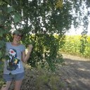 ���������� ����, ���� ������� �������, 51 ���, ������������ ��� ������, ����� � ���������, c�������� ���������