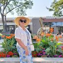  Cicero,   , 63 ,   ,   , c 