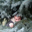  ,   Petruha, 43 ,   
