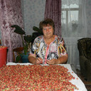  -,   Cdtnf, 34 ,   
