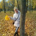  ,   , 50 ,  