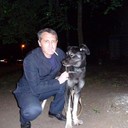   ,   , 51 ,  