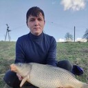  ,   , 53 ,   ,   