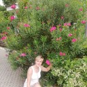  ,   , 40 ,     , c 