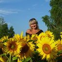 ���������� ������, ���� ������� ������, 59 ���, ������������ ��� ������, ����� � ���������, c�������� ���������