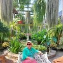 ���������� �������, ���� ������� ������, 54 ����, ������������ ��� c�������� ���������