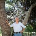 ���������� ����, ���� ������� �����, 60 ���, ������������ ��� ������, ����� � ���������, c�������� ���������