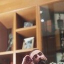 ���������� ������, ���� ������� Selim, 38 ���, ������������ ��� ������, ����� � ���������