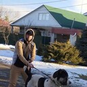 ���������� ����������, ���� ������� �����, 29 ���, ������������ ��� ����� � ���������, c�������� ���������