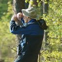 ���������� �����, ���� ������� �������, 37 ���, ������������ ��� ����� � ���������, c�������� ���������