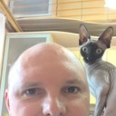 ���������� ��������, ���� ������� �����, 44 ����, ������������ ��� ������, ����� � ���������, c�������� ���������