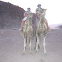 ���������� ������, ���� ������� ���������, 38 ���, ������������ ��� ������