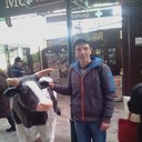 ���������� ����, ���� ������� ������, 43 ����, ������������ ��� ������, ����� � ���������, c�������� ���������