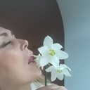 ,   , 54 ,   ,   , c , 
