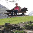  ,   Dow Jones, 29 ,     , c 