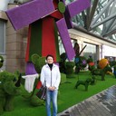  ,   , 62 ,  