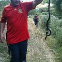  ,   ARAYIK, 62 ,   ,   , c 