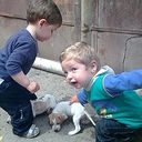 ���������� �������, ���� ������� Kamuda13, 40 ���, ������������ ��� ������