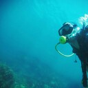 ���������� �����������, ���� ������� �����, 34 ����, ������������ ��� ������, ����� � ���������