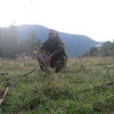  ,   Dato, 42 ,   ,   , c 