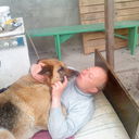  ,   , 53 ,   
