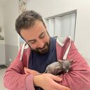 ���������� ���������, ���� ������� ���������, 38 ���, ������������ ��� ����� � ���������, c�������� ���������