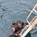 ���������� �����������, ���� ������� �����, 43 ����, ������������ ��� ������, ����� � ���������, c�������� ���������, ���������