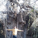 ���������� ����, ���� ������� Rasad, 46 ���, ������������ ��� ������, ����� � ���������