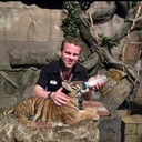 ���������� ����������, ���� ������� �������, 32 ����, ������������ ��� ������, ����� � ���������, c�������� ���������