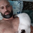 ���������� ��������������, ���� ������� ������, 43 ����, ������������ ��� ������, ����� � ���������, c�������� ���������