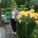 ���������� �����, ���� ������� ����, 33 ����, ������������ ��� ������, ����� � ���������, c�������� ���������