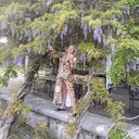  -,   , 51 ,   ,   , c , 