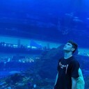 ���������� �����-���������, ���� ����� �������, 21 ���, ������������ ��� ������, ����� � ���������