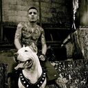  ,   , 38 ,     , c , 