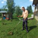  ,   , 31 ,     , c 