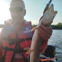 ���������� �����, ���� ������� ����, 49 ���, ������������ ��� ������, ����� � ���������, c�������� ���������