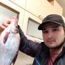  -,   , 30 ,   ,   