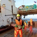 ���������� ��������, ���� ������� ������, 37 ���, ������������ ��� ������, ����� � ���������, c�������� ���������, ���������