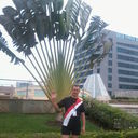 ���������� ������, ���� ������� ����, 49 ���, ������������ ��� ������, ����� � ���������, c�������� ���������